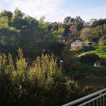 בסטיה Appartement Rue Colonella Proche Citadelle מראה חיצוני תמונה